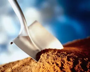 Shovel in Dirt