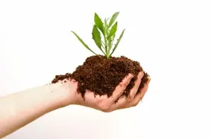 iStock_000001472480Medium Green Solutions Slide